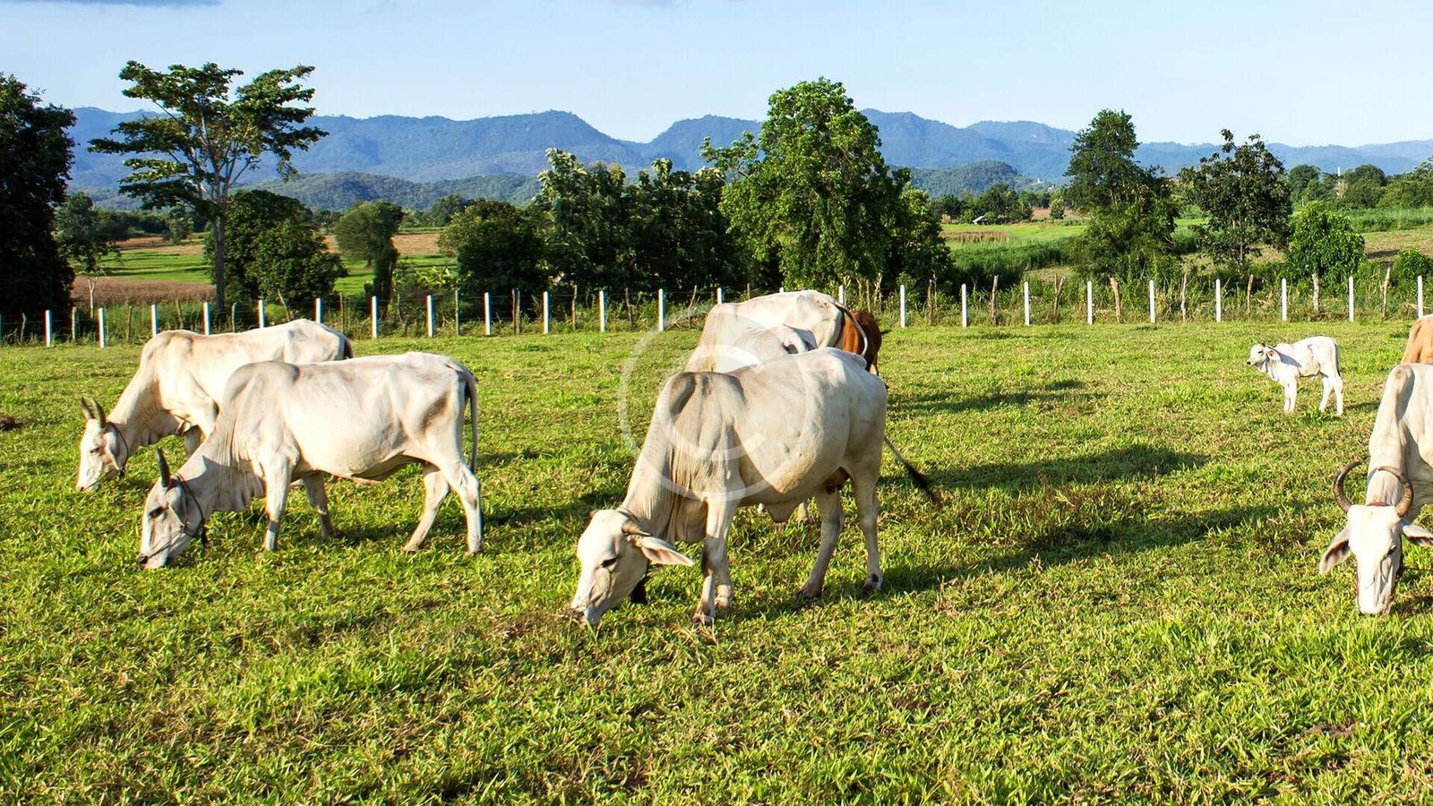 Cultura de Prevención